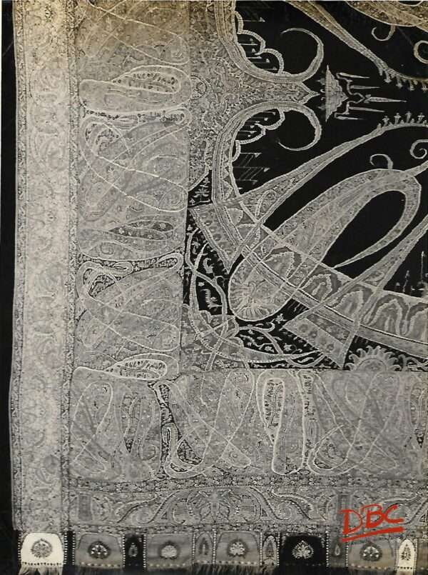 Shawl