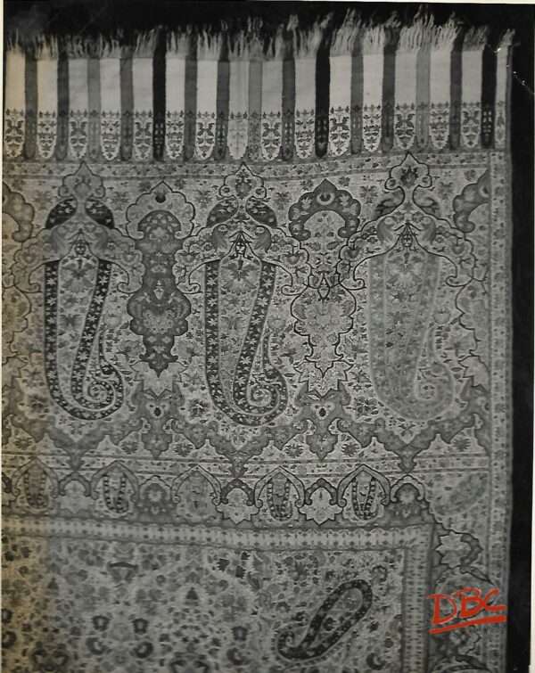 Kashmiri Shawl
