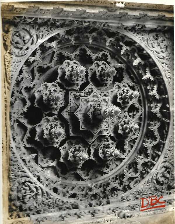 Mount Abri (Dilwara) Vimal Shhis Temple (Ceiling)