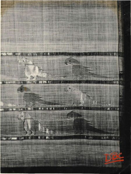 Sari Cotton