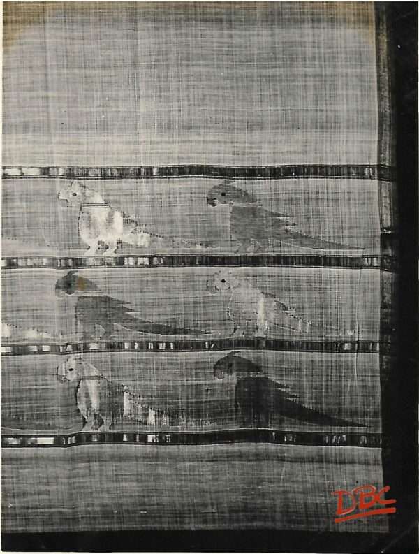 Sari Cotton