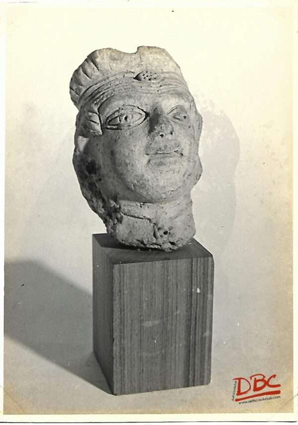 Bengal  Head on Padestal terracott