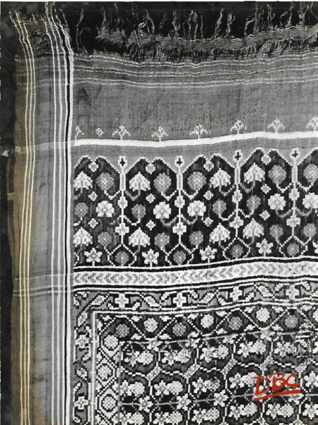 PATOLA SARI SURAT