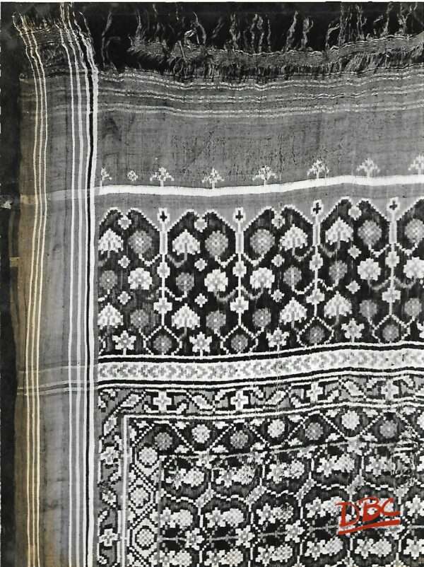 PATOLA SARI SURAT