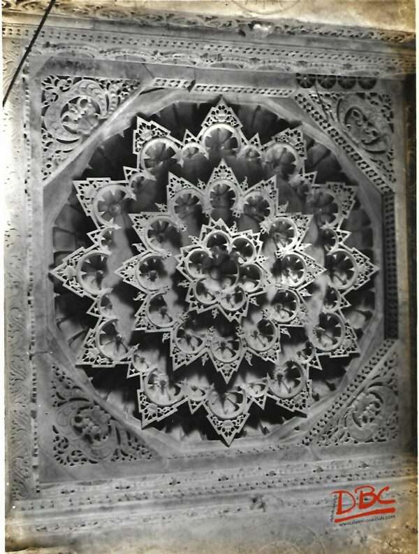 TEJ PALS TEMPLE A CEILING