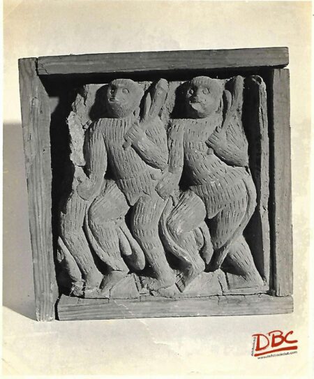 West Bengal  Two monkeys (T.P)