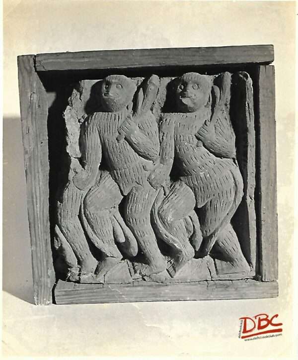 West Bengal  Two monkeys (T.P)