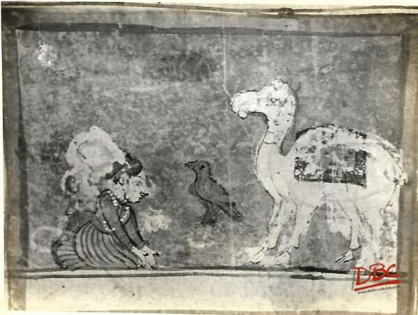PAINTING PAPER RAJASTHAN CAMAL COW AND KNEEDED SOWN