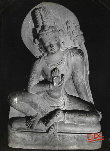 gayn maitreya