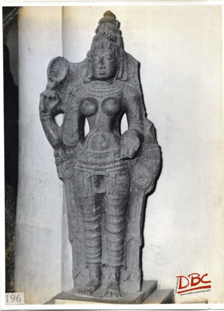 parvatha 13TH SHIR KAZHI