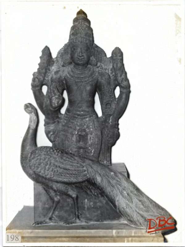 MURGA 13TH CENTURY SHIRKAZI