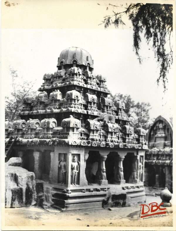 MAHABALIPURAM : DHARMARAJA'S PATH