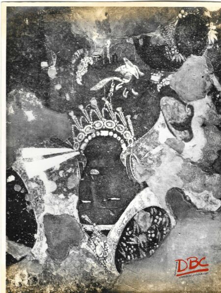 AJANTA : BLACK PRINCE
