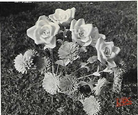 DBCRP - 1880