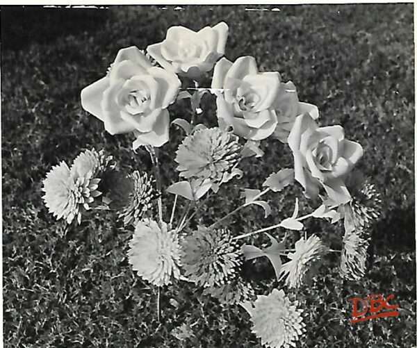 DBCRP - 1880