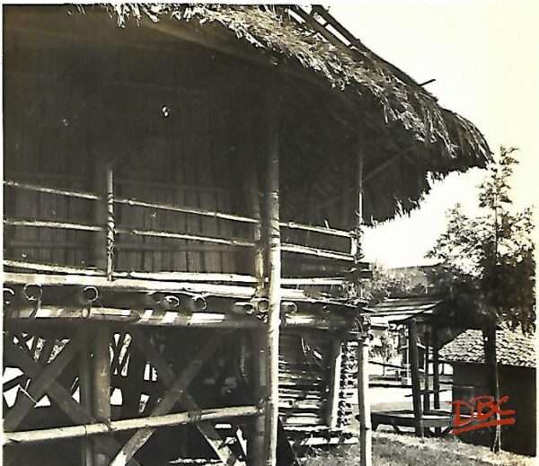 DBCRP - 1903