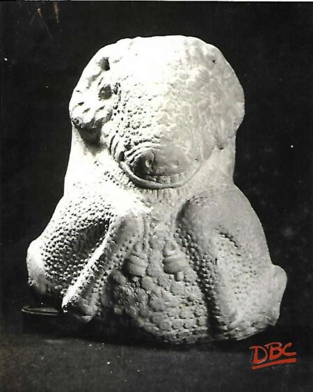 DBCRP - 2003