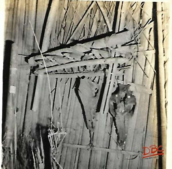 DBCRP - 2025