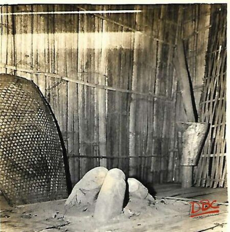 DBCRP - 2027