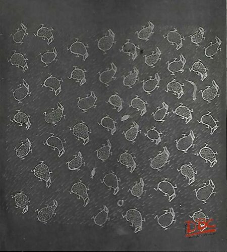 DBCRP - 2029