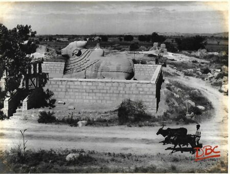 Lepakashi Veerabhadra temple  A distant view of bull