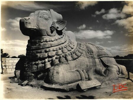 Lepakashi Bull