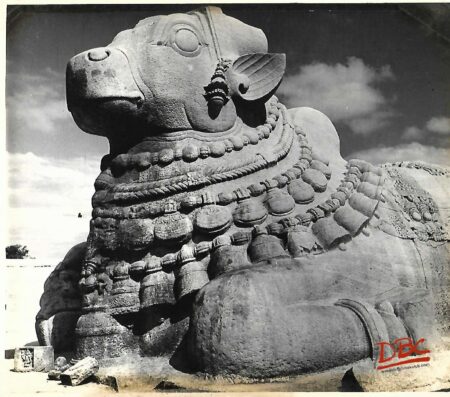 Lepakashi Veerabhadra temple View of a Bull