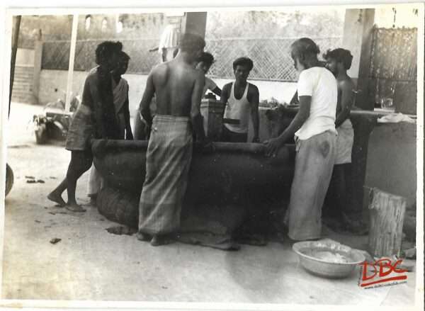 Charakku Removed From The Pit