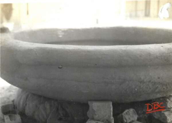 Close View of Charakku
