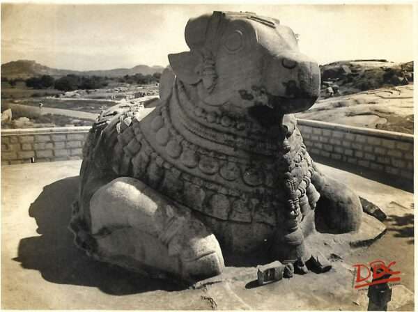 Lepakashi Bull