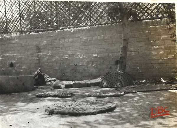 Circular Ollathattu