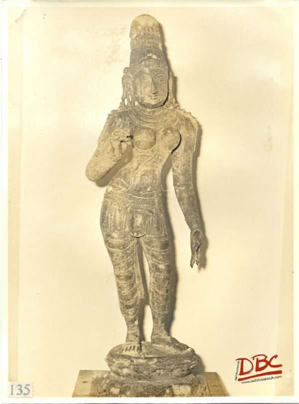 Sivakami 14th Century Thankikkotai