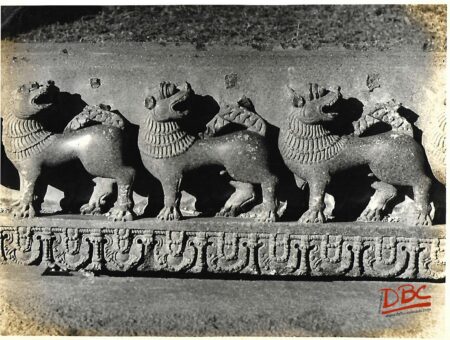 Warangal Freizeon the stray stones