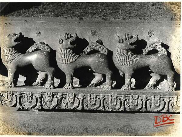 Warangal Freizeon the stray stones