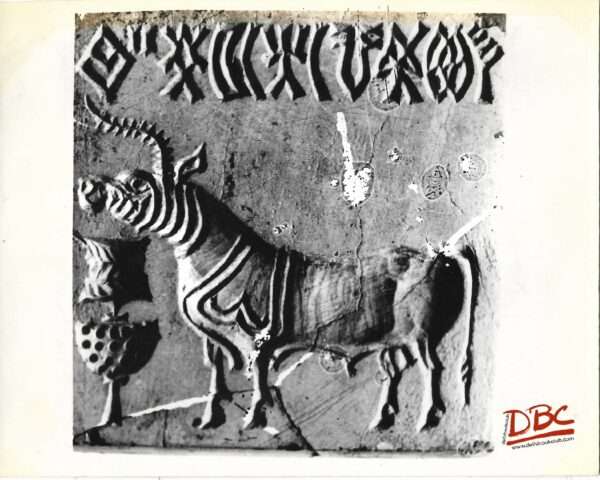 Mohenjodaro