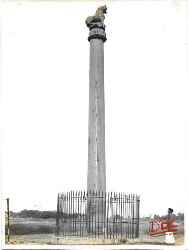 Lauriyanandangar (Bihar): Ashoka Pillar