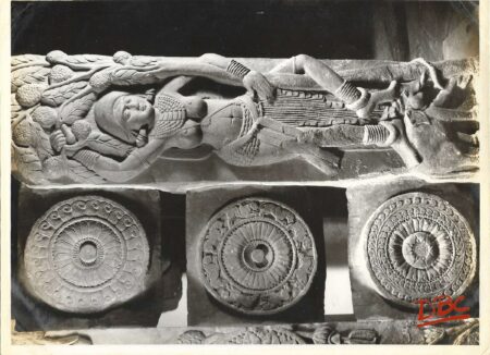Indian Museum : Female Deity