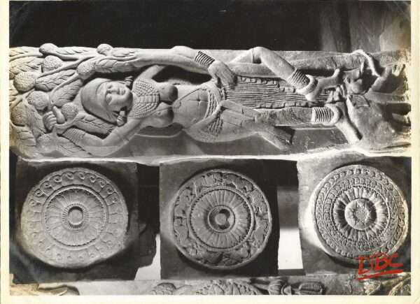 Indian Museum : Female Deity