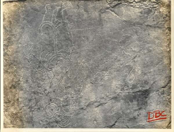 Gandhikota Ranganayakula Temple : An Unfinished Bas Relief