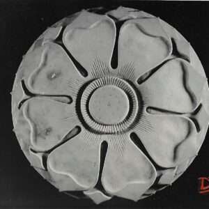 Lotus stone earing