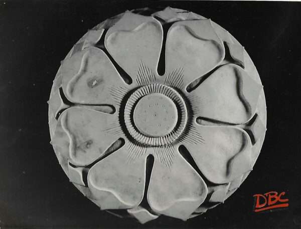 Lotus stone earing