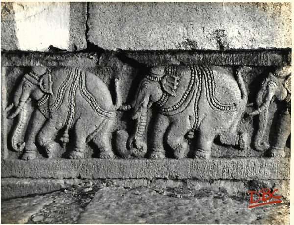 Lepakashi Veerabhadra temple A row of elephant