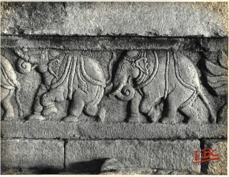 Lepakashi Veerabhadra temple A row of elephant