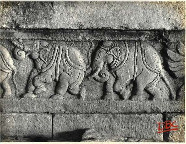 Lepakashi Veerabhadra temple A row of elephant