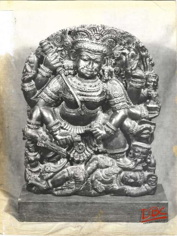 wood (kali) karnataka mahakali