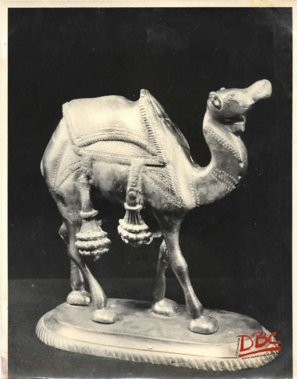 CAMEL (METAL)