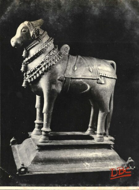 BRASS METALIC BULL