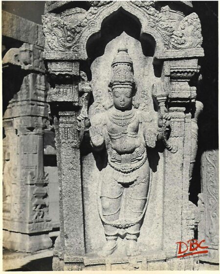 Lepakashi Veerabhadra temple Seulptured pliiar