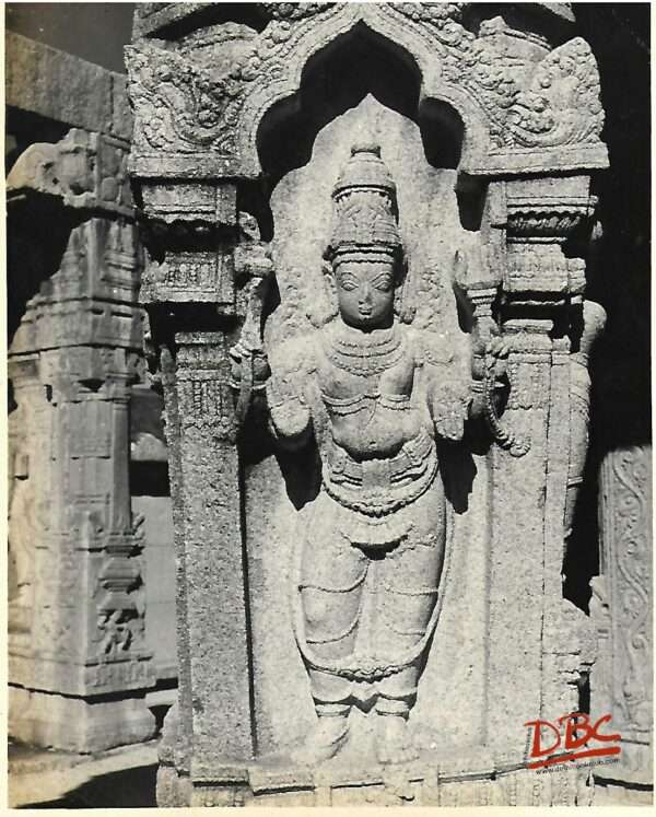 Lepakashi Veerabhadra temple Seulptured pliiar