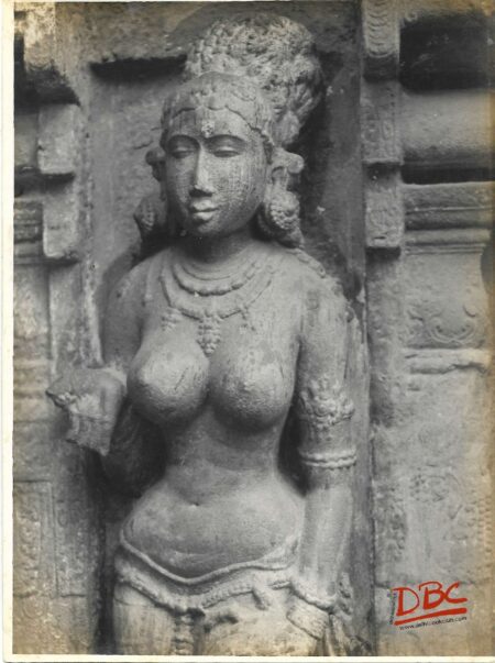 KUMBHAKANAM :nagasvara suami temple close up of a fig